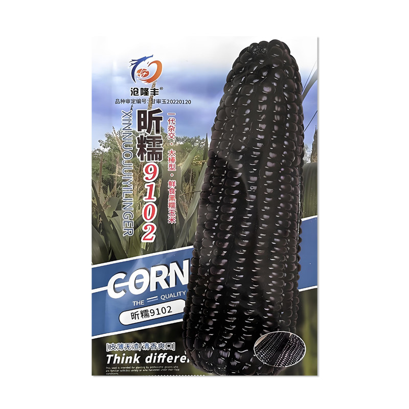 沧隆丰昕糯9102玉米种子
