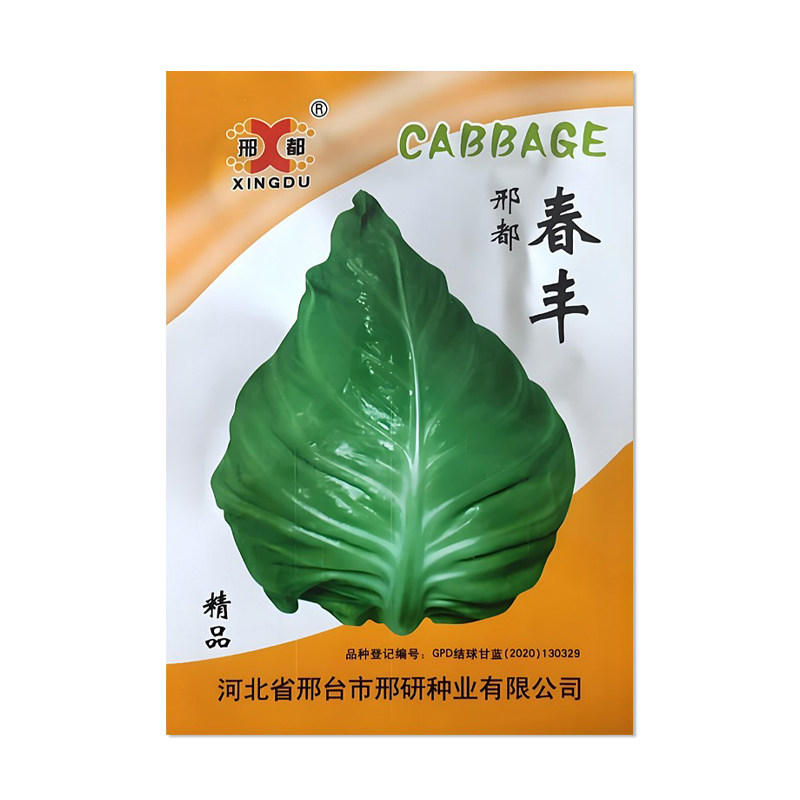邢都春丰牛心甘蓝种子