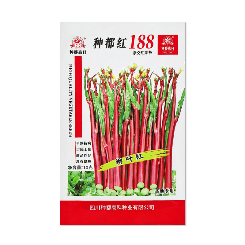 种都红188杂交红菜苔种子