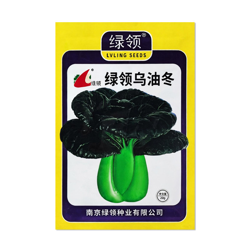 绿领乌油冬青梗菜种子