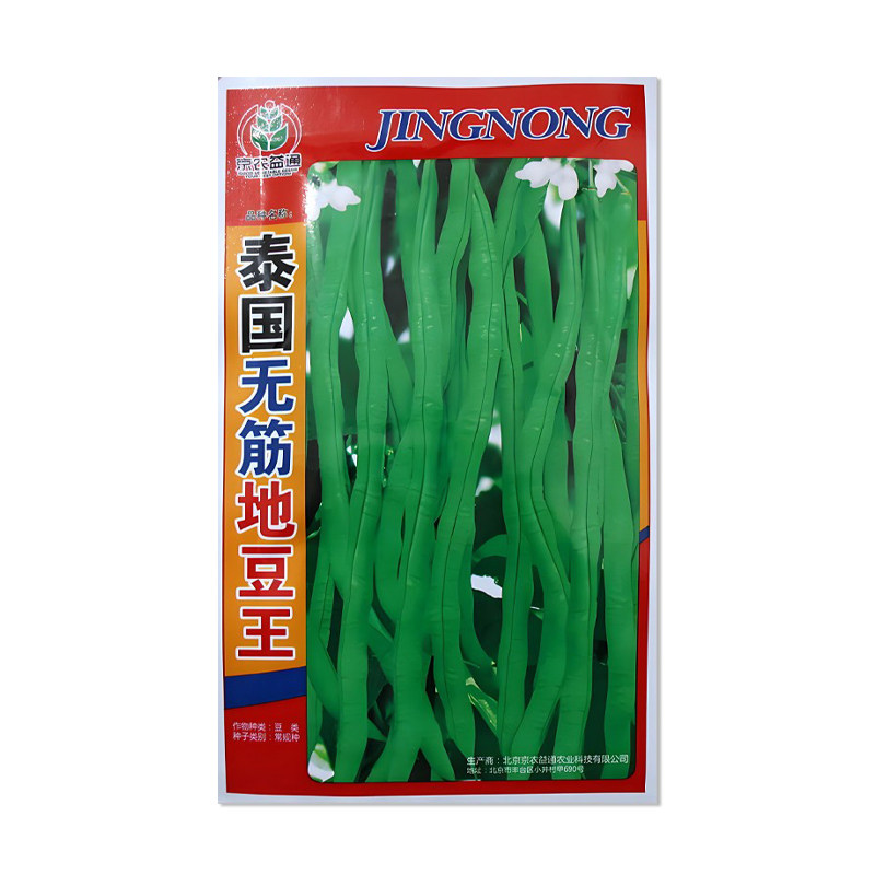 京农益通泰国无筋地豆王豆角种子