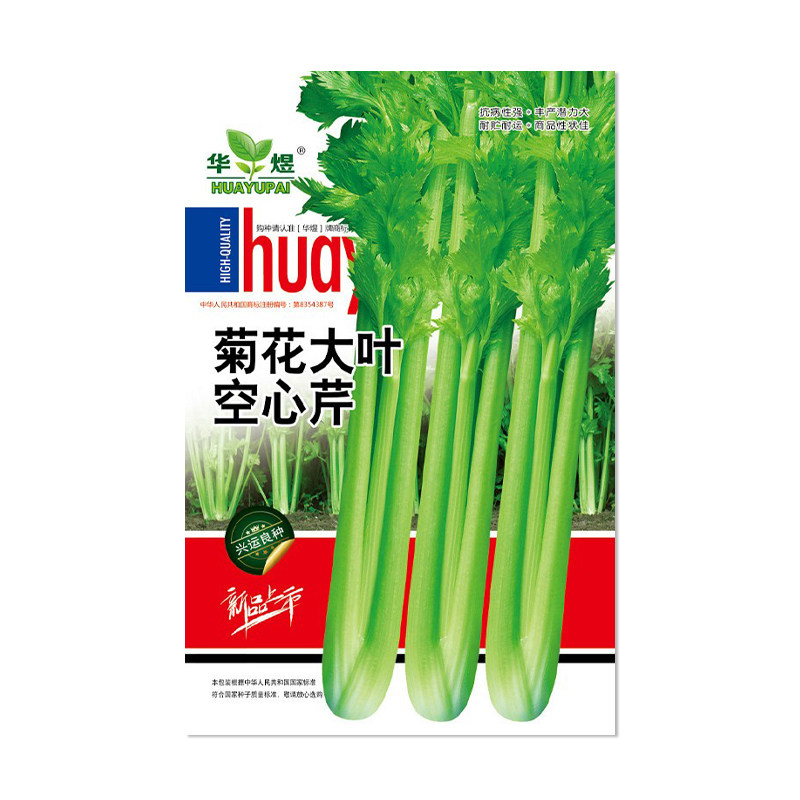 华煜菊花大叶空心芹种子