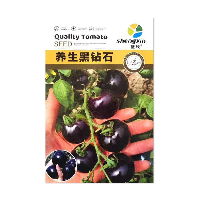 盛欣养生黑钻石番茄种子