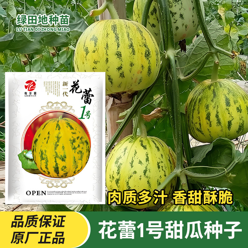 花蕾1号甜瓜种子花皮豹点