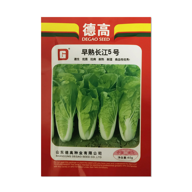 德高早熟长江5号白菜种子快菜苗菜青菜耐热耐湿耐寒四季蔬菜种子