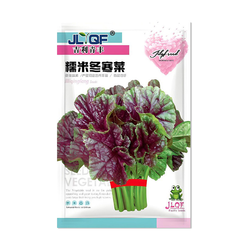 吉利青丰糯米冬寒菜种子