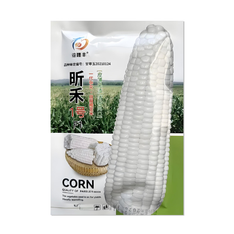 沧隆丰昕禾1号玉米种子