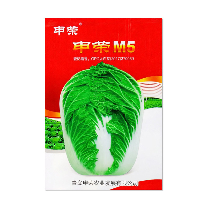 申荣M5大白菜种子蔬菜种籽