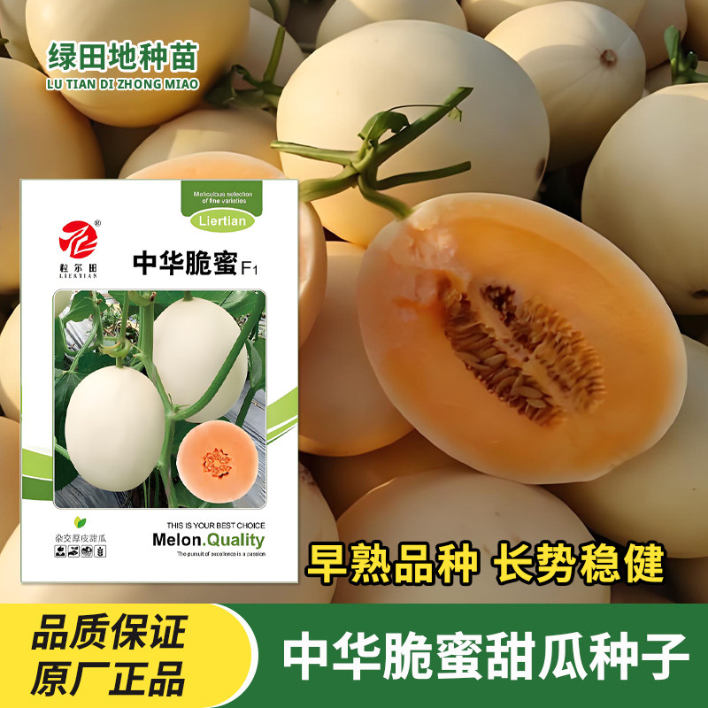 中华脆蜜甜瓜种子水果种子