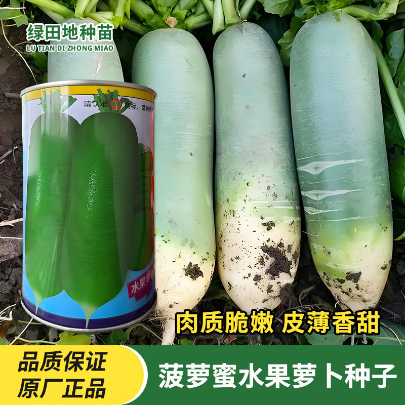 菠萝蜜水果萝卜种子蔬菜种子