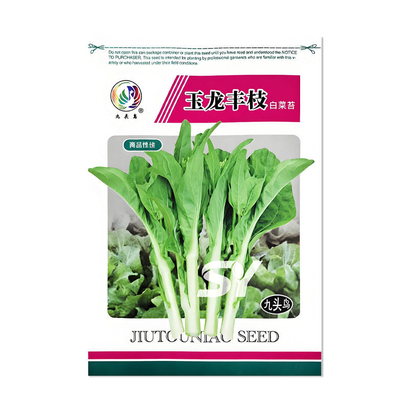九头鸟玉龙丰枝白菜苔种子