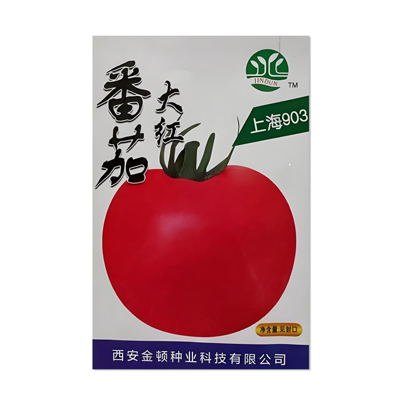 金顿种业大红番茄种子
