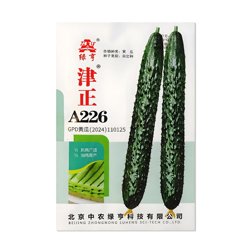 绿亨津正A226黄瓜种子图片
