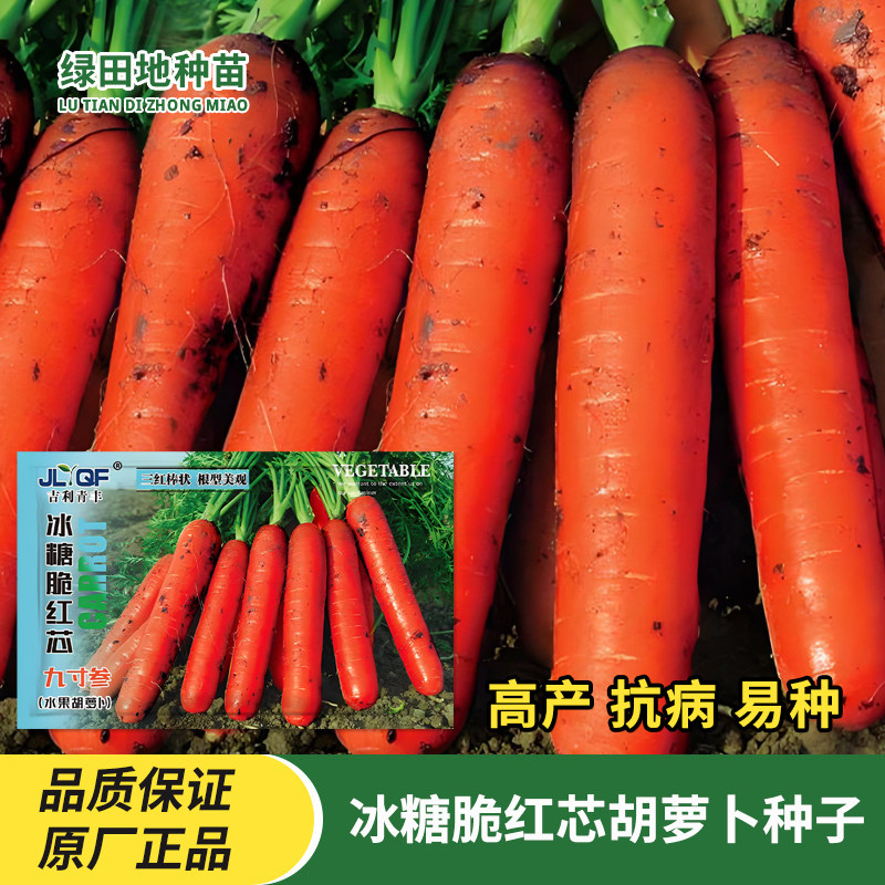冰糖脆红芯三红九寸红胡萝卜种子