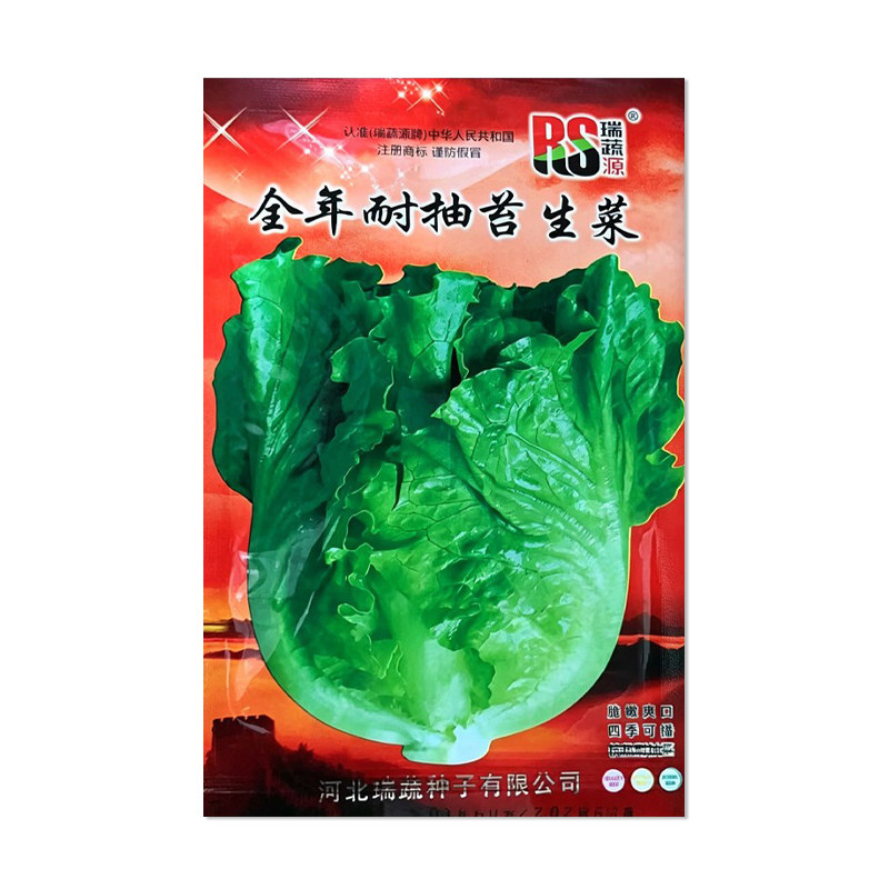 瑞蔬源全年耐抽苔生菜种子