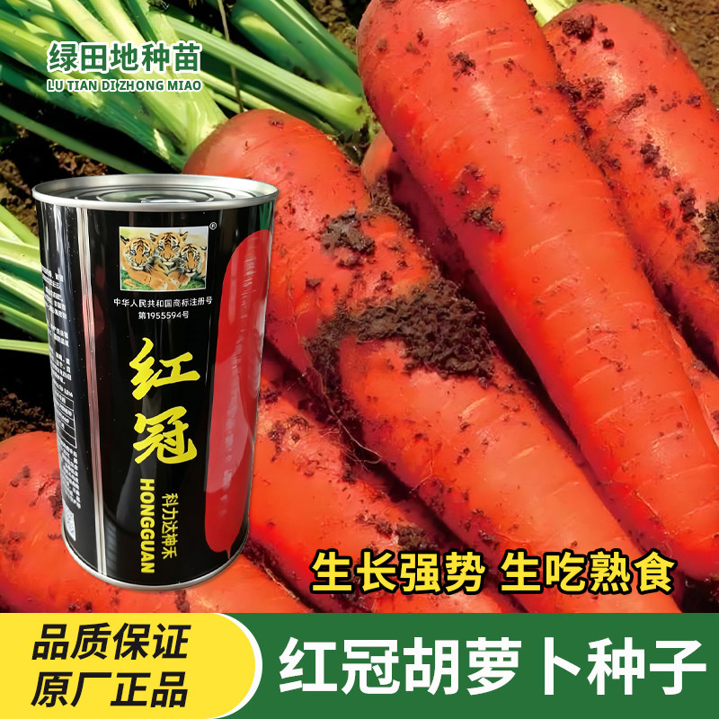 神禾红冠胡萝卜种子蔬菜种子