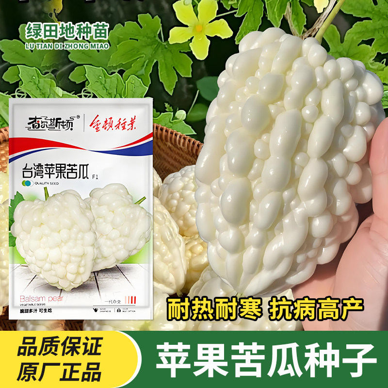 苹果苦瓜种子白色个大微苦蔬菜种子家庭田园好种植春秋季水果种子