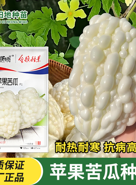 苹果苦瓜种子白色个大微苦蔬菜种子家庭田园好种植春秋季水果种子