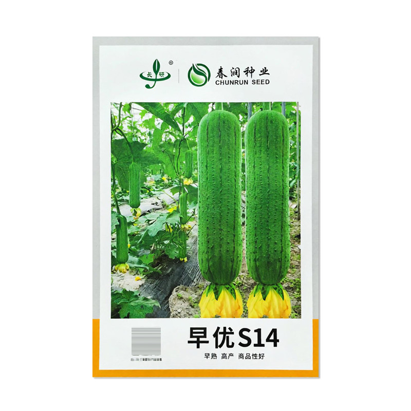 长研早优S14丝瓜种子蔬菜种子