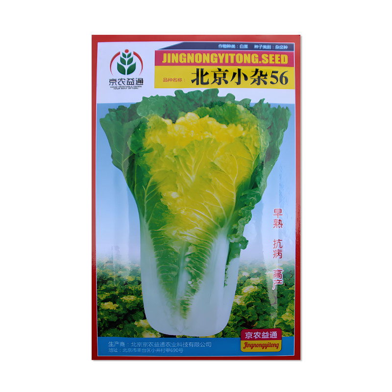 京农益通北京小杂56白菜种子