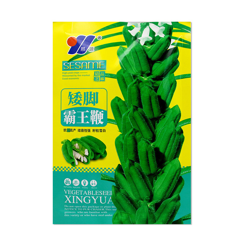 邢源矮脚霸王鞭白芝麻种子