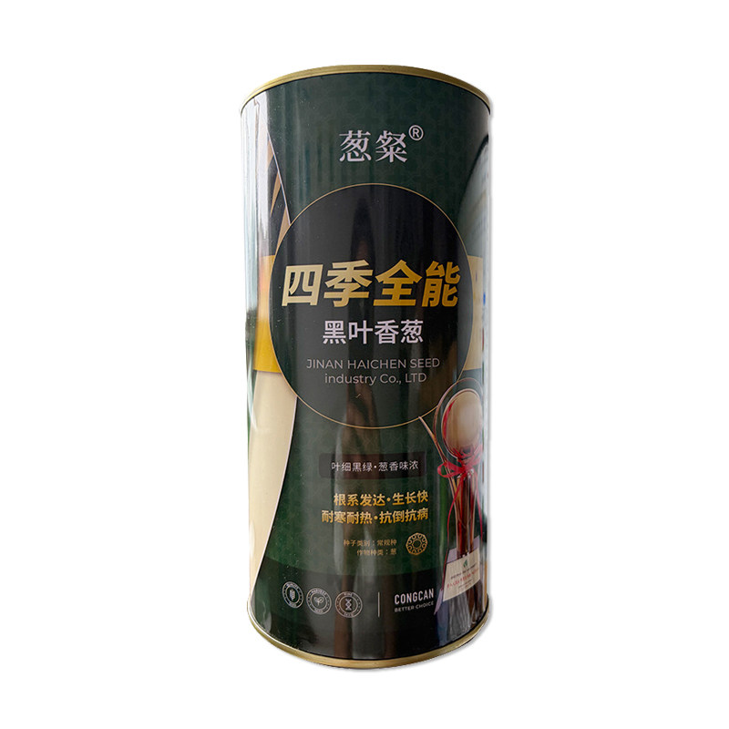 海宸葱粲四季全能黑叶香葱种子