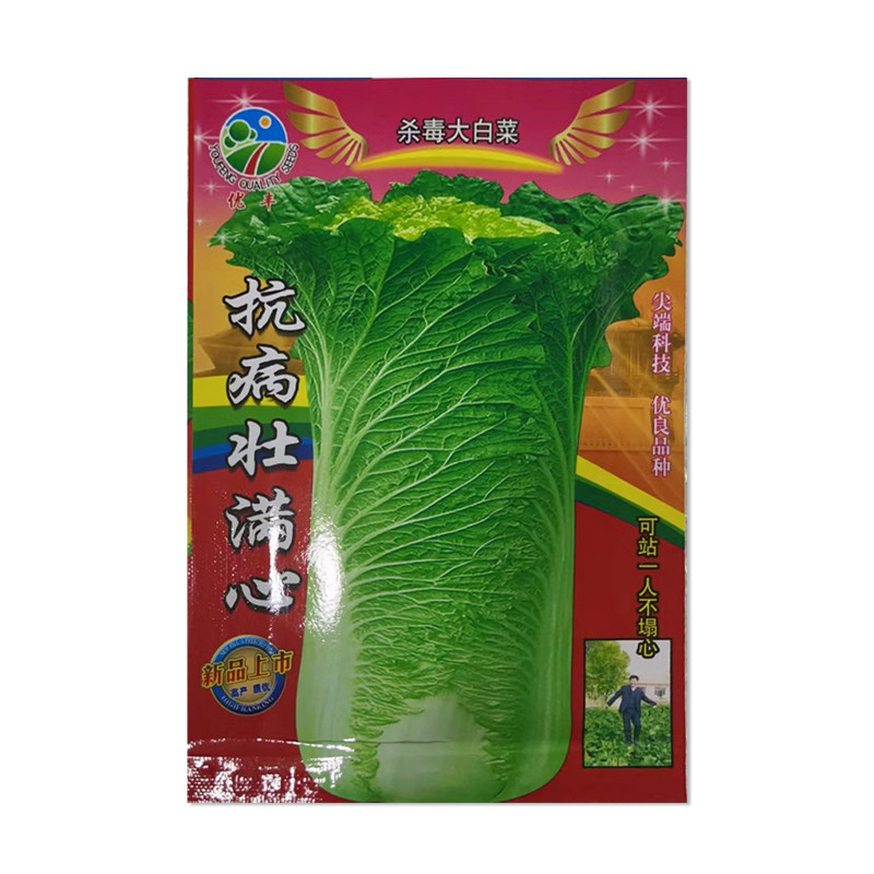 优丰抗病壮满心大白菜种子