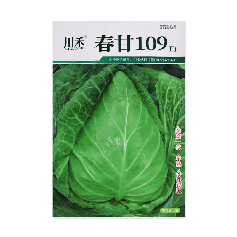川禾春甘109牛心甘蓝种子