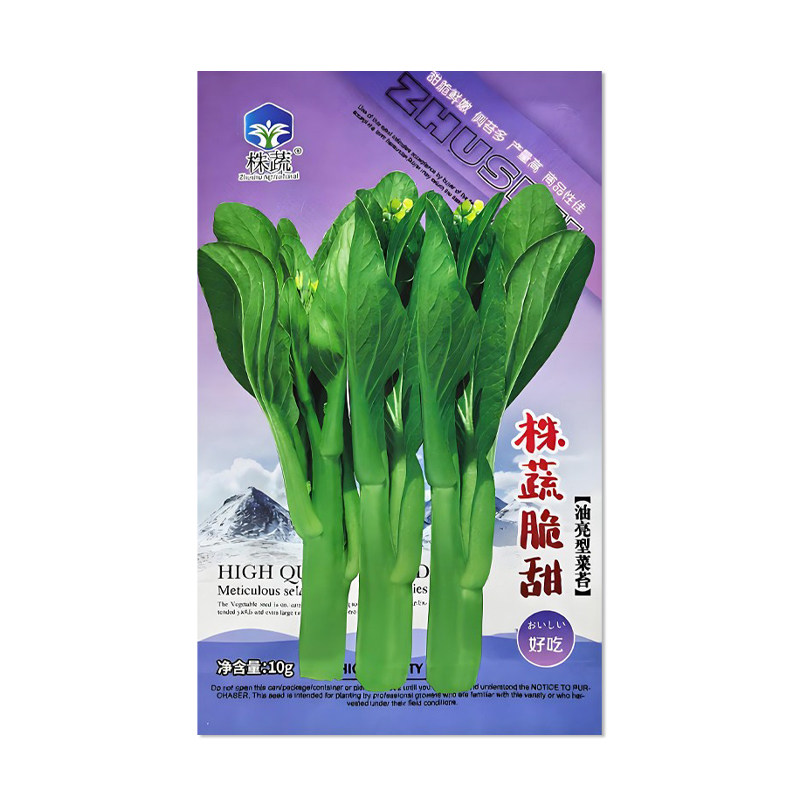 株蔬脆甜白菜苔种子油亮型