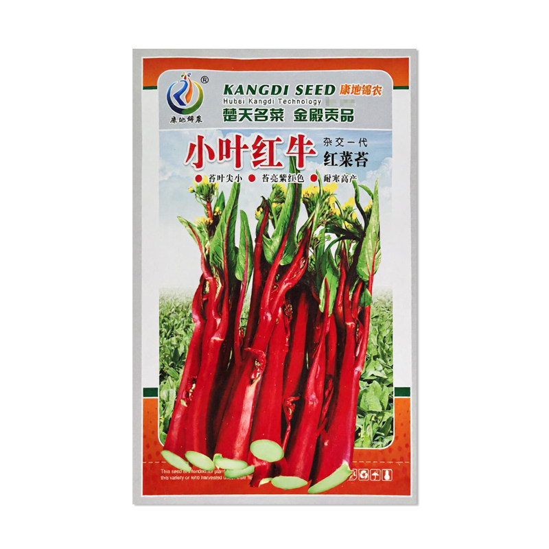 康地锦农小叶红牛红菜苔种子