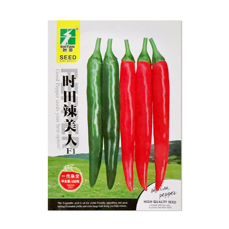 时田辣美人F1朝天椒种子