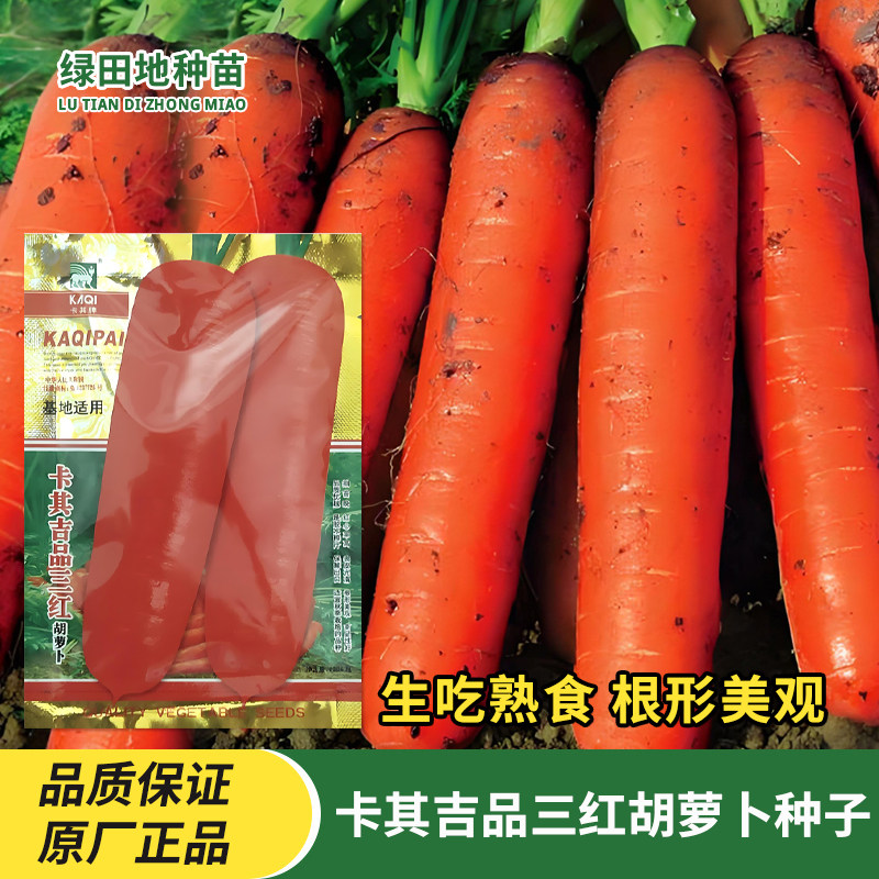 卡其吉品三红胡萝卜种子