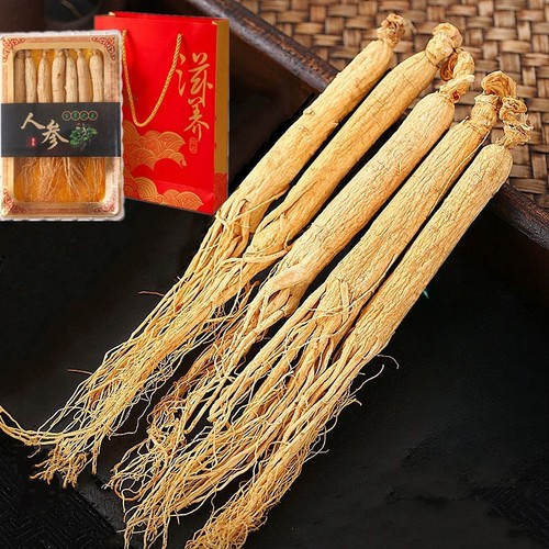 森美仁长白山人参生晒参干参