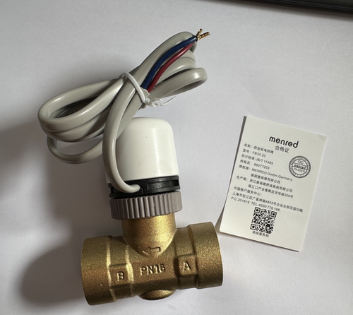 黄铜电热阀电磁阀电动二通阀