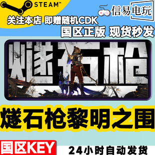 steam正版 燧石枪 黎明之围 国区激活码 现货秒发 cdkey