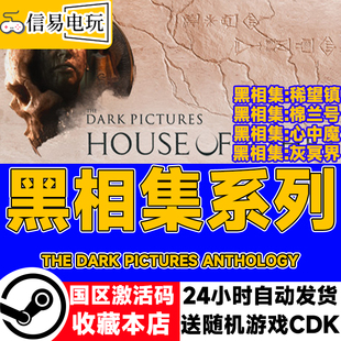 steam正版 黑相集：灰冥界 心中魔 稀望镇 棉兰号 国区激活码