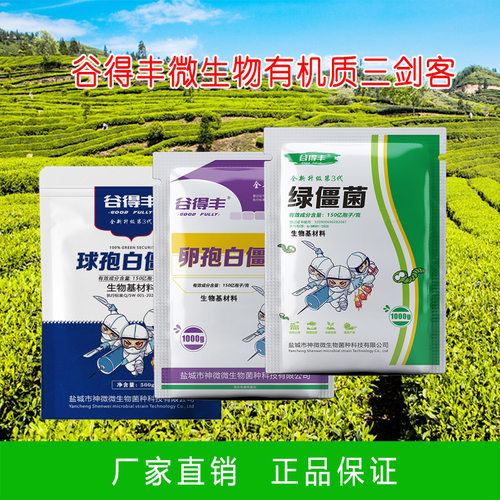 谷得丰球孢 卵孢 绿僵菌 农用微生物菌剂 地上地下害虫 有机粉剂