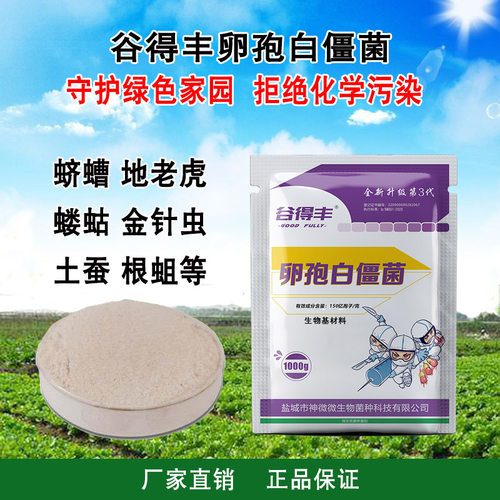 谷得丰卵孢白僵菌 地下害虫 蛴螬地老虎蝼蛄金针虫根蛆生物菌剂
