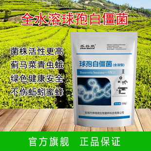 全水溶球孢白僵菌 生物有机质 地上地下害虫