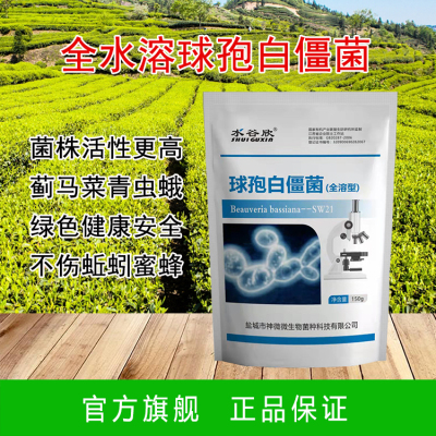 全水溶球孢白僵菌 生物有机质 地上地下害虫