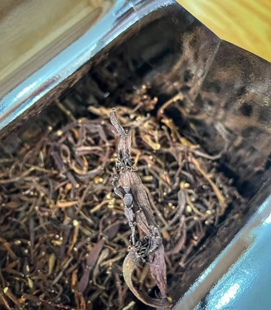 10年勐海古树螃蟹脚枫香槲寄生野生乔茶叶干仓储存老茶礼盒装500g