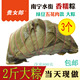广西粽子端午节大五花肉棕子绿豆鲜肉手工非水晶裹蒸粽过年粽