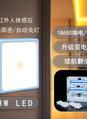 瑞莉思18650双电换电人体感应夜灯3瓦双色LED玄关衣柜过道