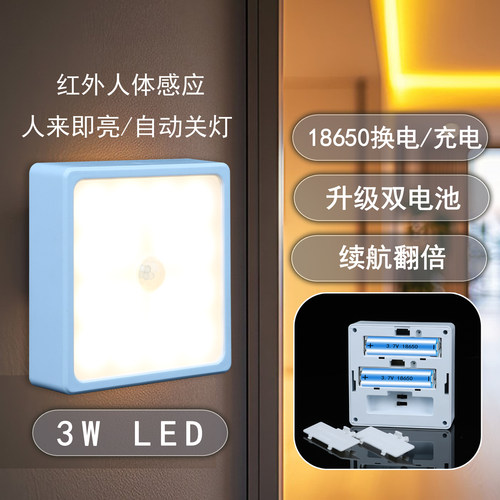 瑞莉思18650换电感应灯