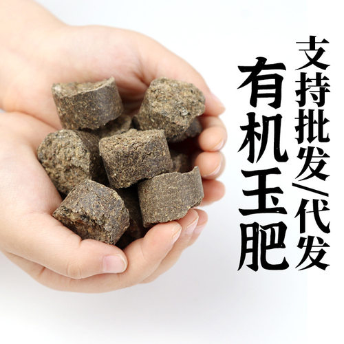 百宝盆景专用缓释玉肥买就送松鳞