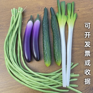 仿真蔬菜模型假青菜叶西兰花包菜水果装饰道具玩具果蔬启蒙儿童