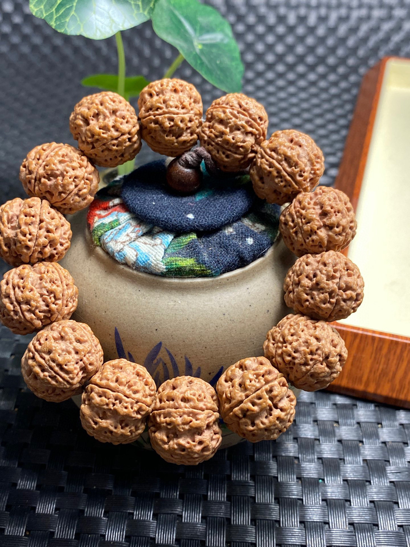 原生态尼泊尔大金刚菩提手串矮桩蜂窝双龙  满肉 沉水籽 5瓣