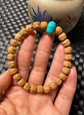 原桩佛手小金刚菩提手串单圈玄武纹三日红桩型正不歪油性足密度高