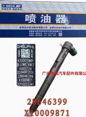 云内发动机 D25TCIF/D30国六 喷油器总成 喷油嘴 X10009871德尔福