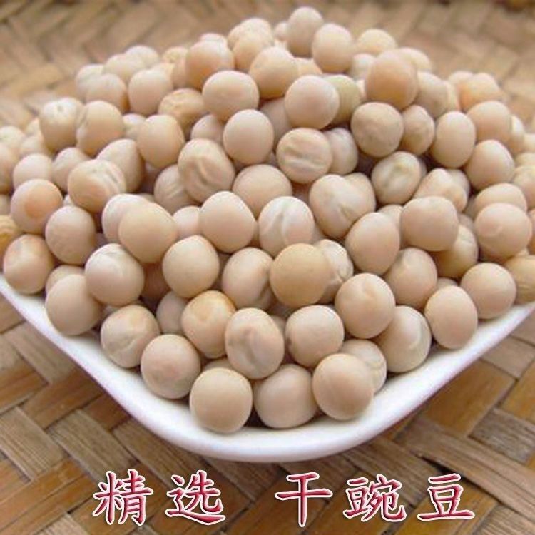 白豌豆种子粮食无须高产